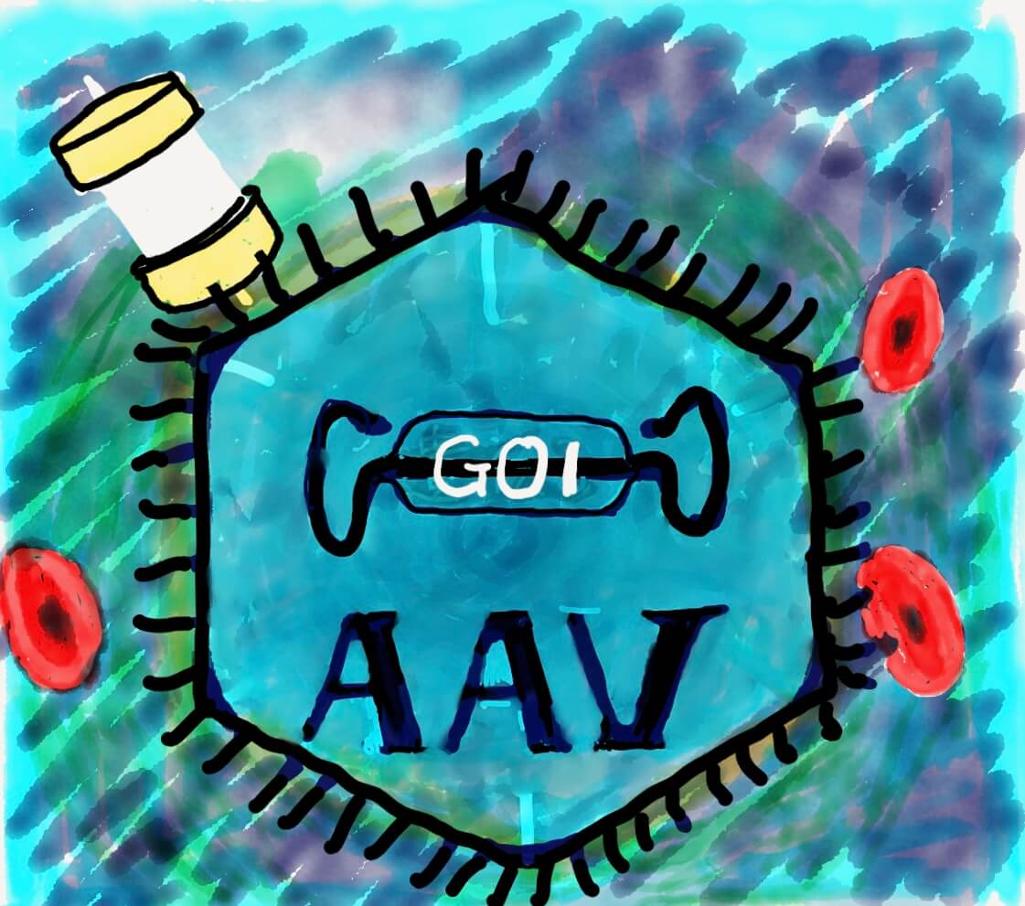 [rAAV] rAAVの従来からの精製方法 (PEG沈殿、超遠心), 2010 – ID2417 [2019/09/26] ID2417