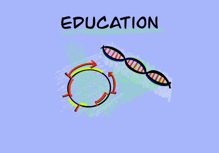 [Bio-Edu] 遺伝子 – 生体内におけるDNAからタンパク質の合成 ・基礎知識 –  [2020/06/13] ID7216
