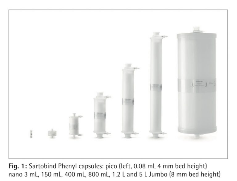 [Bio-Material] Sartobind® Phenyl [2020/02/05] ID8626