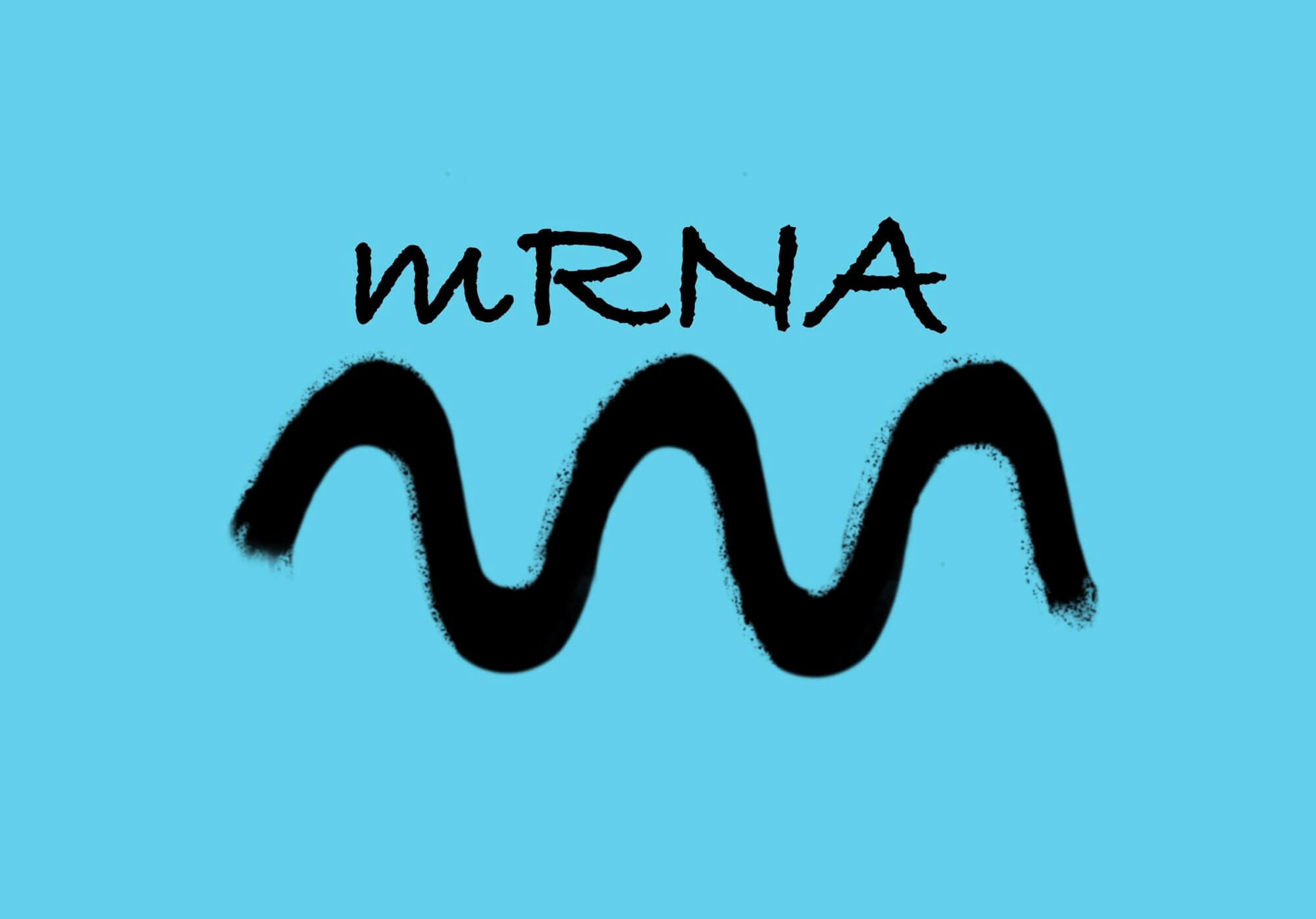 [Bio-Edu] RNA とは – mRNAはタンパク質を作る直接的な設計図 – その他 rRNA, tRNA – ID7254 [2020/01/15] ID7254