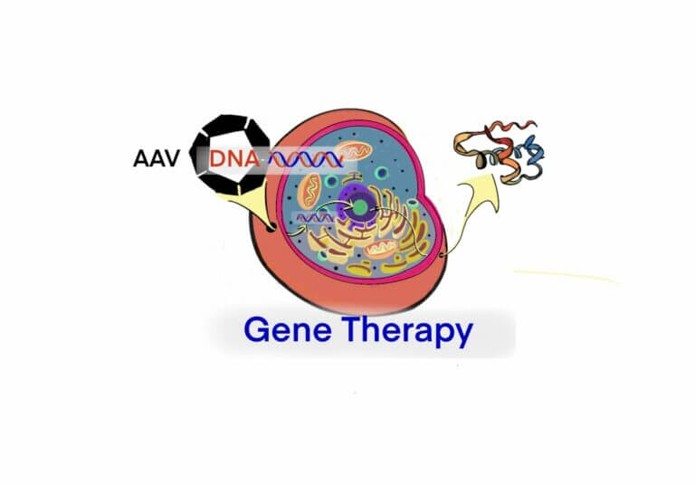 GT gene therapy