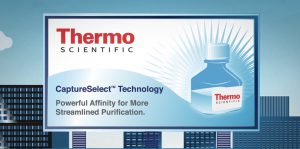 Thermo Fisher