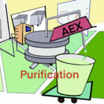 Purification dsp