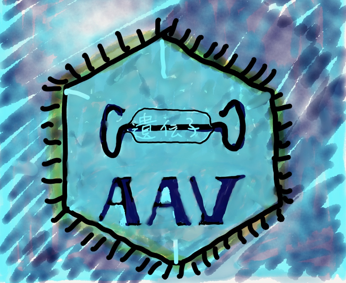 AAV