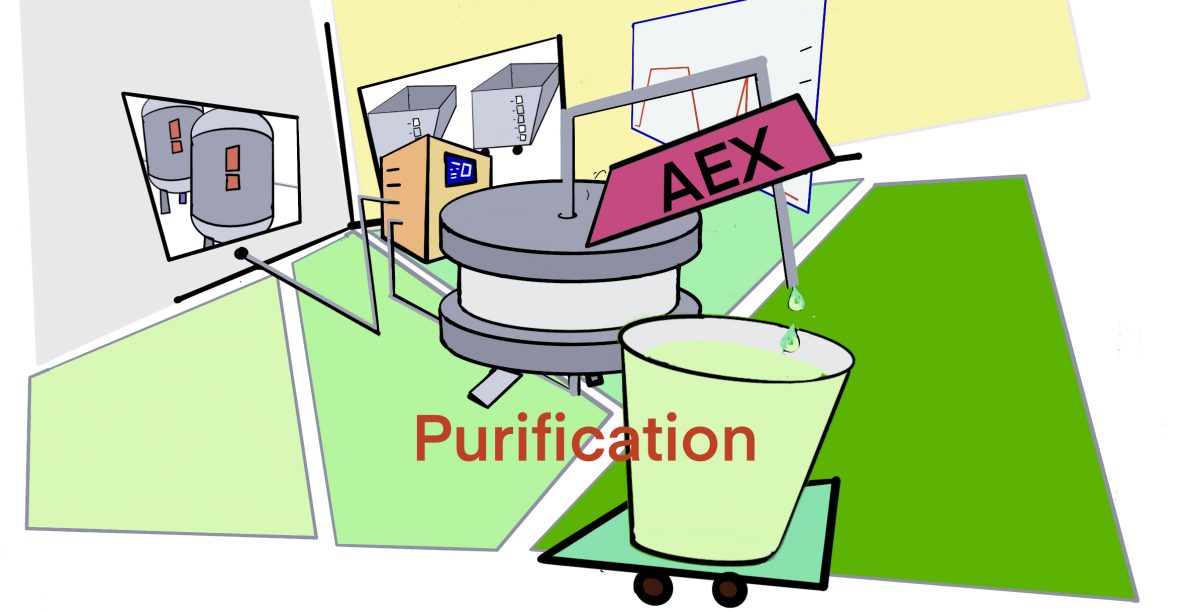 AEX purification