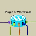 Plugin