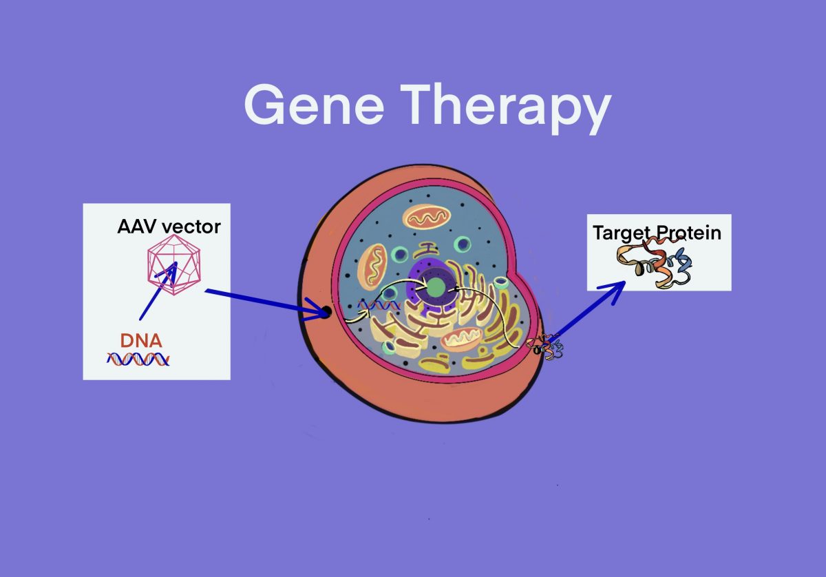 gene therapy