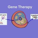 gene therapy