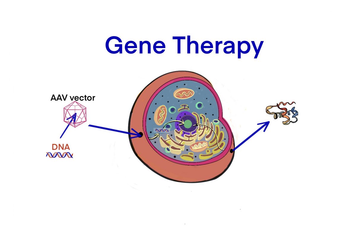 gene
