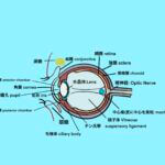 2ebc7d61 be13 4f35 abf8 e579b65c3dc2