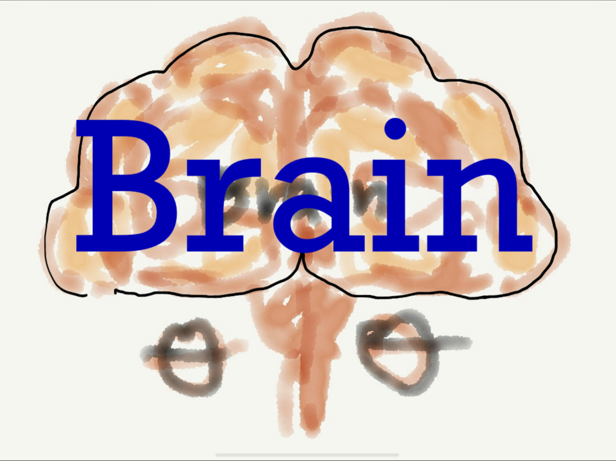 Brain