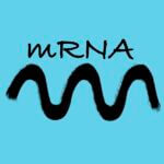 Mrna