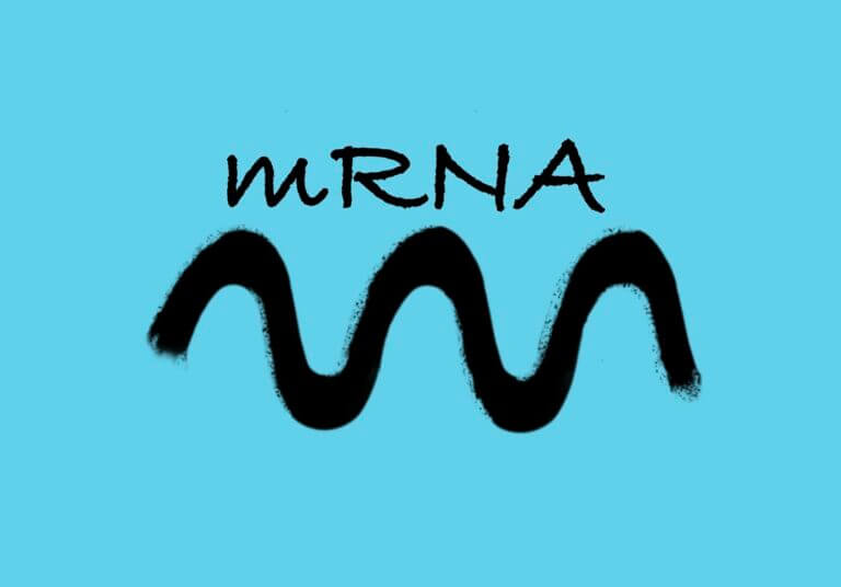 MRNA