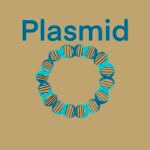 Plasmid