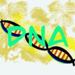 Dna