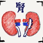 Kidony 腎