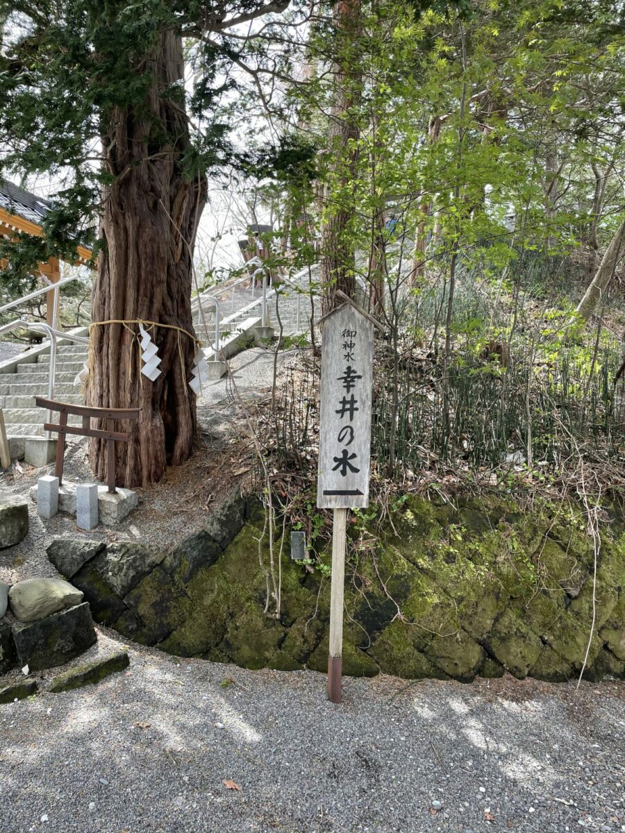 E09F7399-E717-4EE7-ACF4-90D736A9D6E9