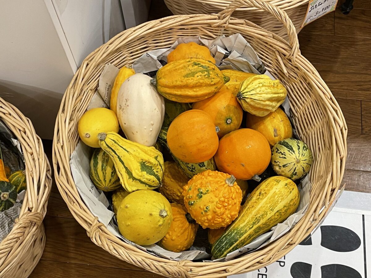 62E71361-8284-4F6C-A6F4-81C805BC67E7