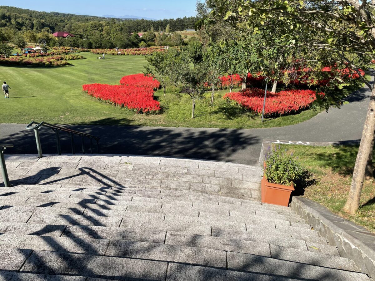 0299F21F-1E4A-4D06-BF32-2086F071EA4C