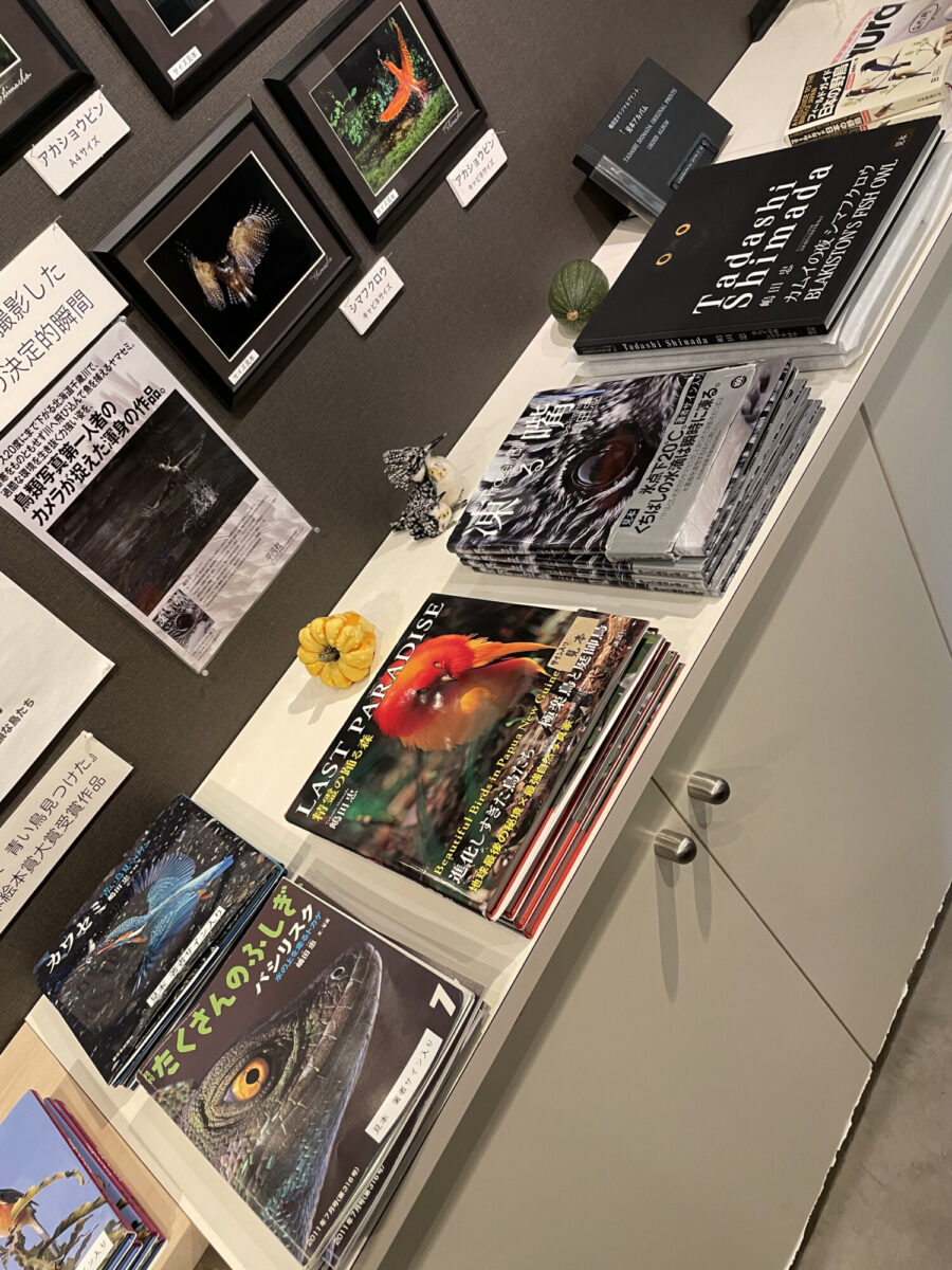 0ECA11AA-1F77-40A5-A927-7AA74DA16B32