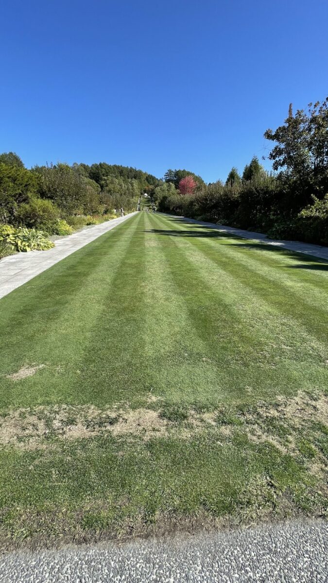 255FF56A-36F2-40B2-B2EB-A1B1D74B1E01