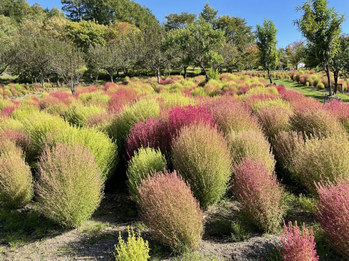 2B79F926-9F97-40F7-99BF-81055A2F1415