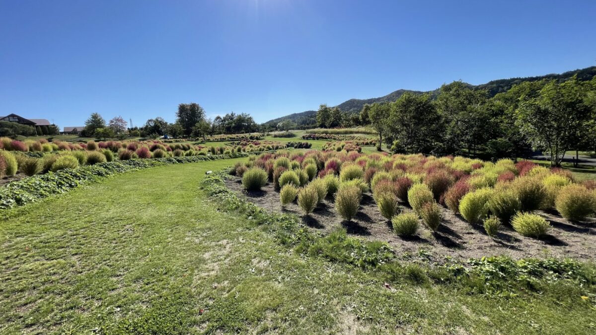 2D801906-CCC6-49C4-94FA-B133CE641541