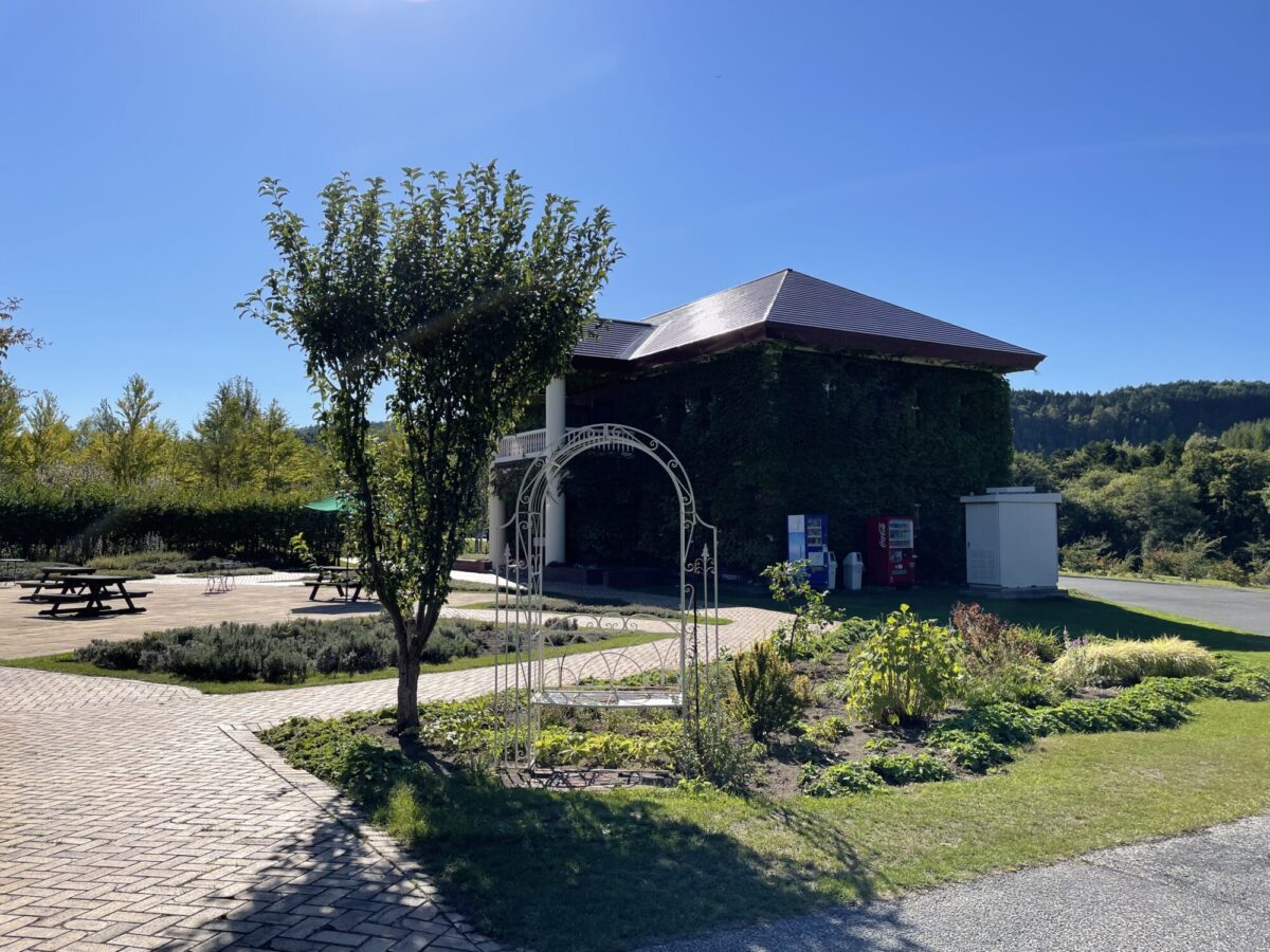 3DDE21E8-9802-4B23-AC72-55F09ACC0585