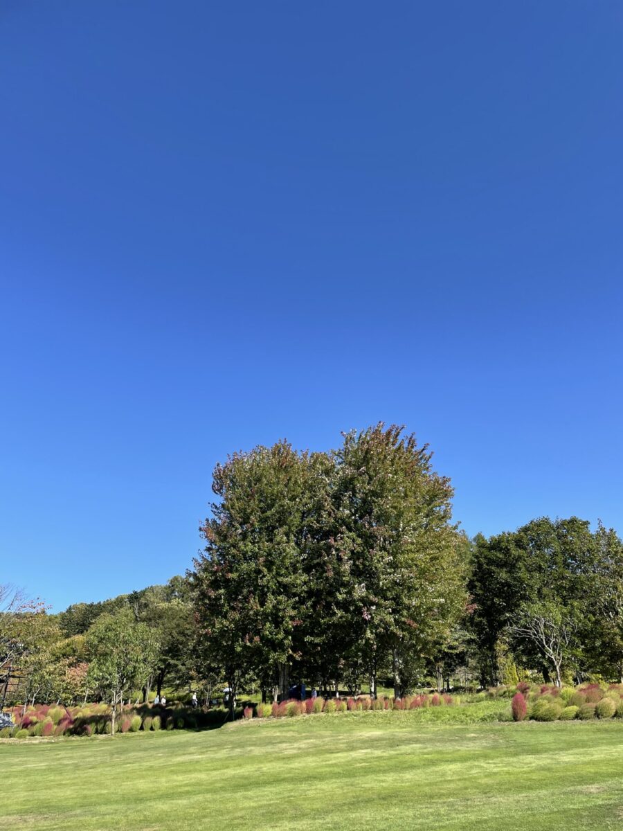 527DBFF2-921D-45A1-9691-BC060FB29588