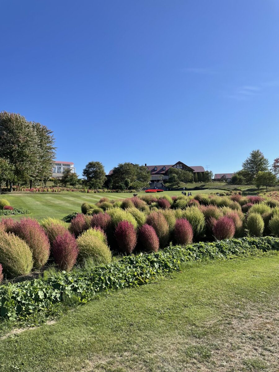 7E46910F-1D36-4EDE-BB4A-AFE1ADDA8C85