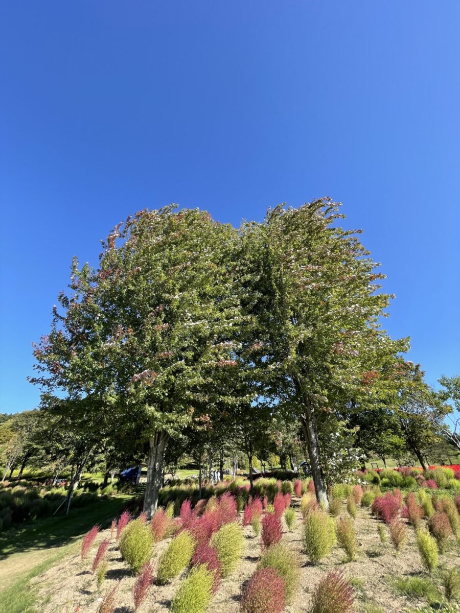 80186F01-E8FB-4150-90F6-31FF61B99B1B