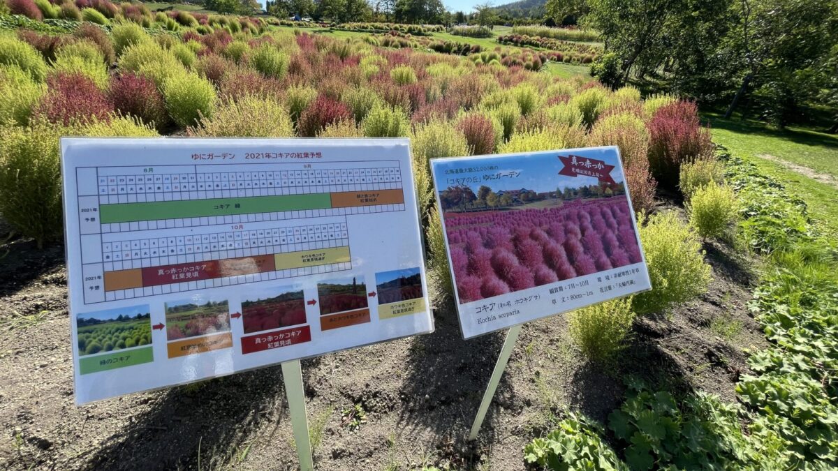 957D2CDD-5014-4133-880A-98D2901B2BD4