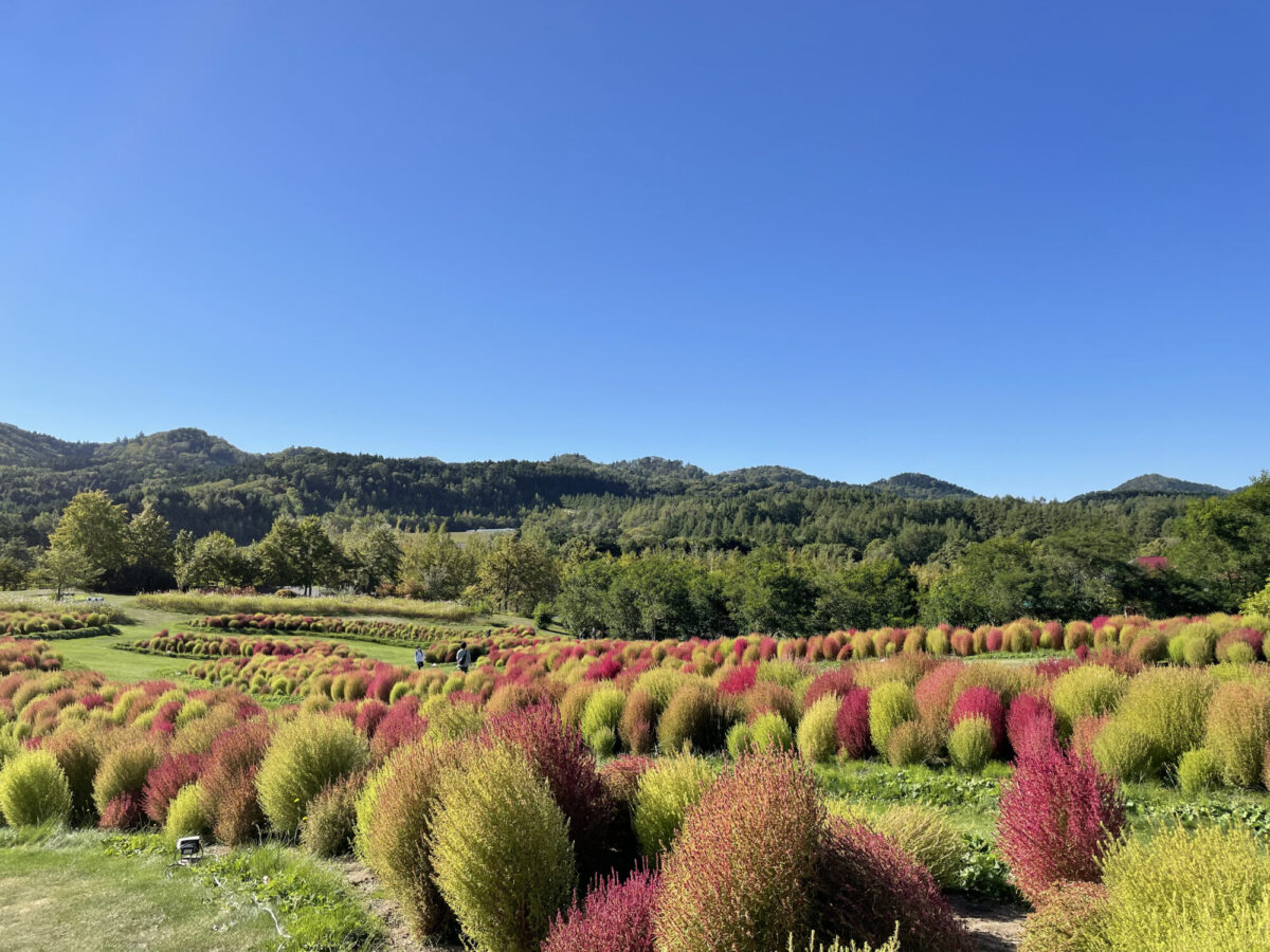 B25B53BD-E08D-4B5C-A360-85B583C99CCC