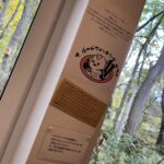 Bird watching cafe